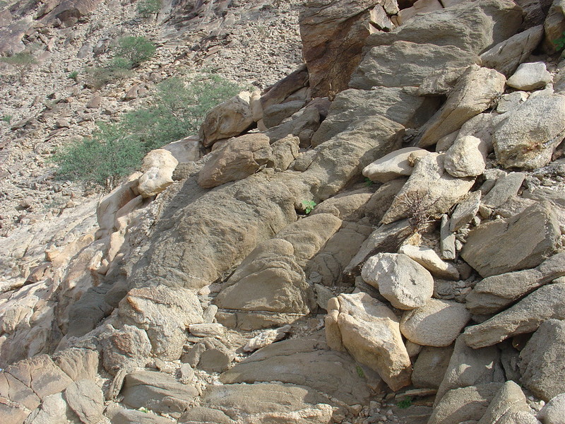 General area of the confluence point