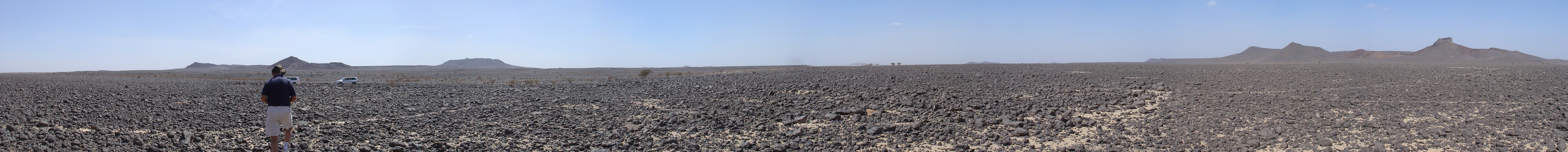 Panorama photo showing 'magnificent desolation'