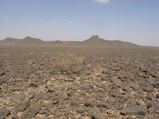 #1: General View of Confluence, from 100 m away looking north