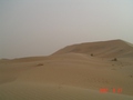 #3: South view - Top of dune
