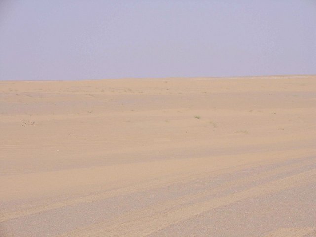View from Confluence northeast