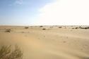 #2: South view