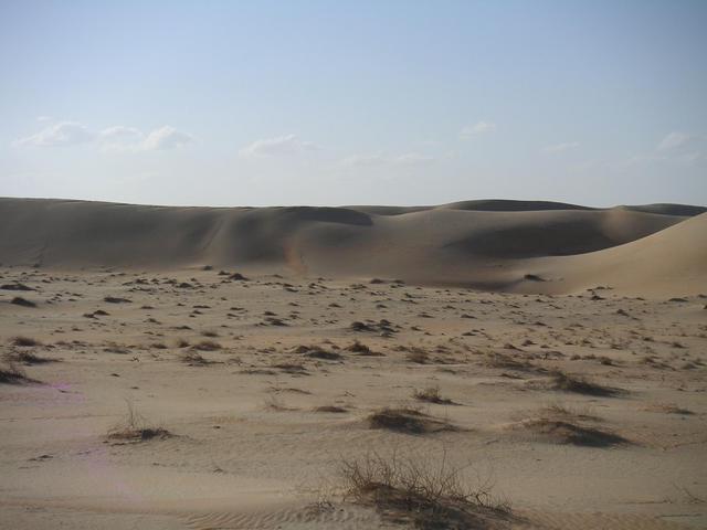 View of the confluence looking South