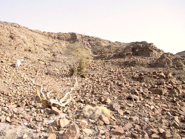 Northerly view from Confluence