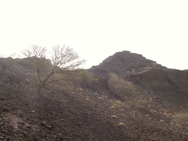 Easterly view from Confluence