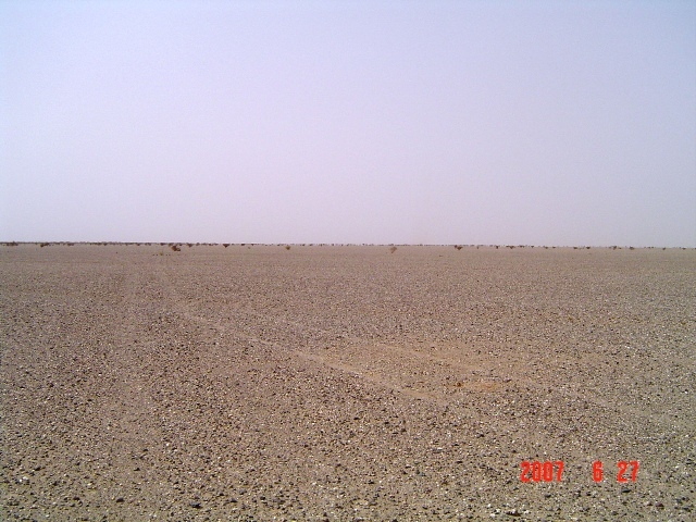 North view