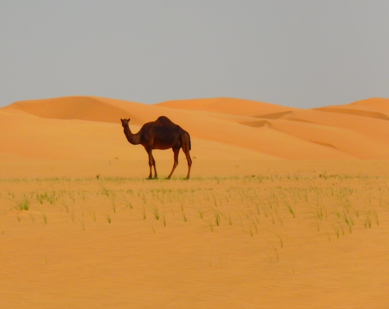 The dunes are mystical