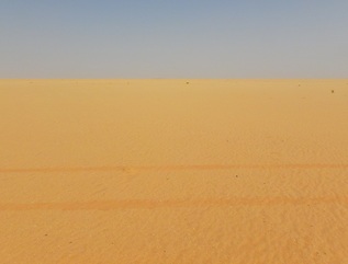 #1: A bleak view