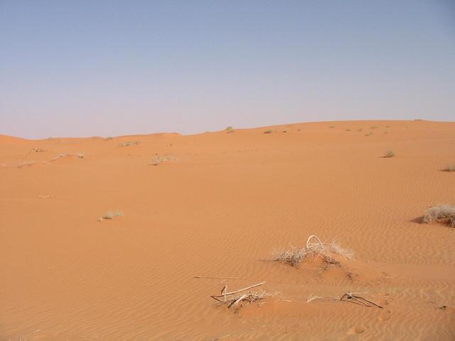 Looking east from the confluence point.