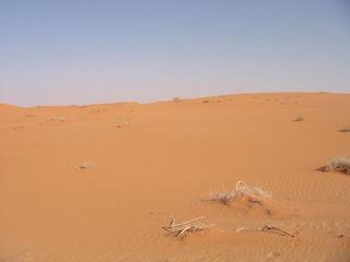 #1: Looking east from the confluence point.