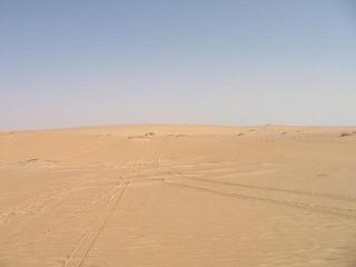 #1: Looking north from the confluence point.