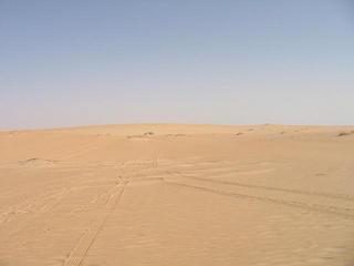 #1: Looking north from the confluence point.