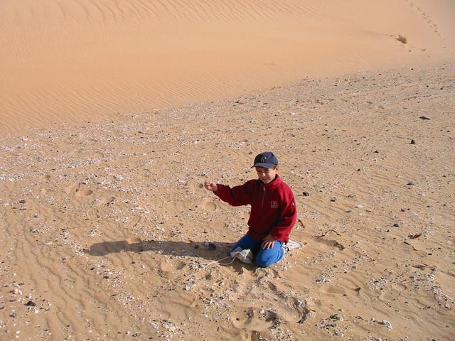 Playing in a field of meteorite tektites.