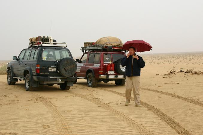 Desert umbrella