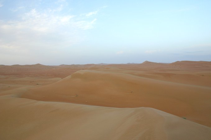 View west