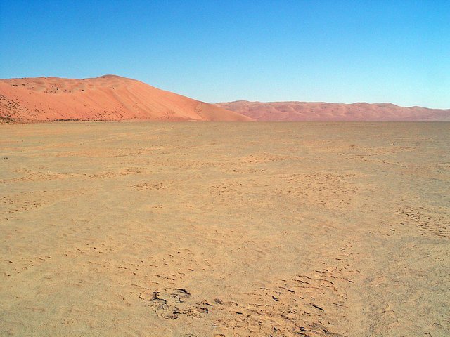 View looking east. The dune in the foreground reaches an elevation of 660 feet (201 m), whereas the elevation at the Confluence is 238 ft (73 m) above sea level. The dunes in the background lie 3 km distant and have elevations exceeding 690 feet (210 m).