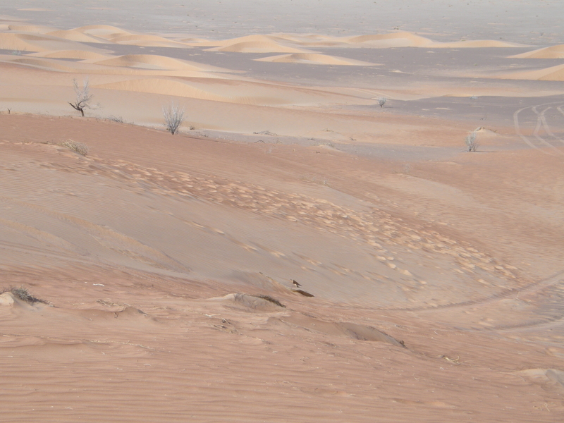 Close-up view of the Confluence; notice all the footprints.