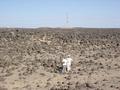 #3: The east view from higher with jabals in background