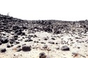 #2: East View
