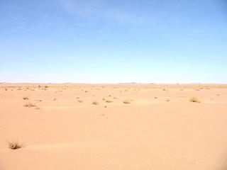 #1: Looking east.