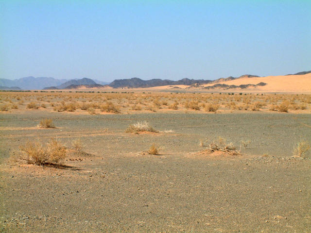 View north