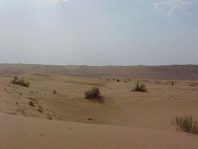 West view