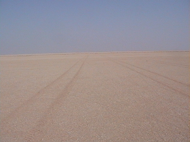 A view to the North of confluence point 23N 48E. We can see the tracks of a machine aimed at finding petrol by surveying seismic data. Usually they follow the latitude and longitude lines.