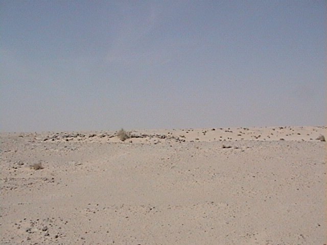 The view to the West of confluence point 23N 49E.