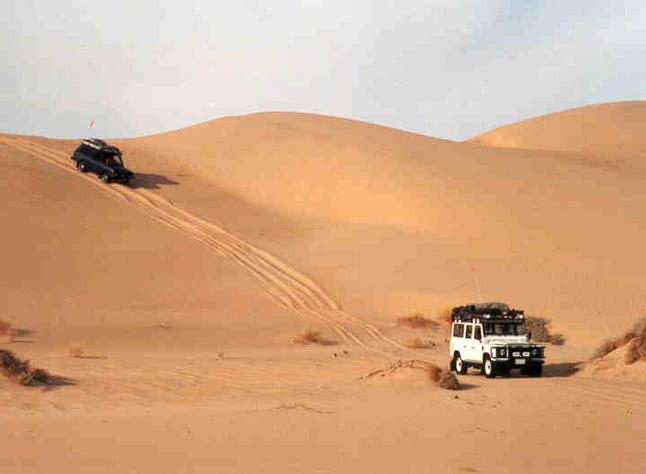 The dune-lines were frequent, but the dunes were never very high.