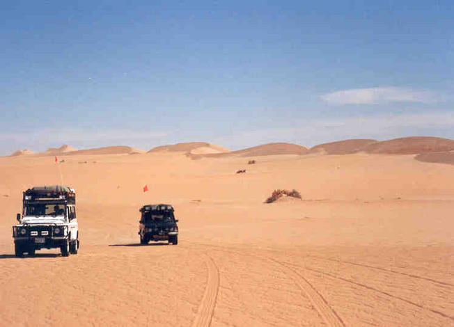 The freedom of driving in the Empty Quarter with no habitation for hundreds of kilometres in every direction, is exhilarating.