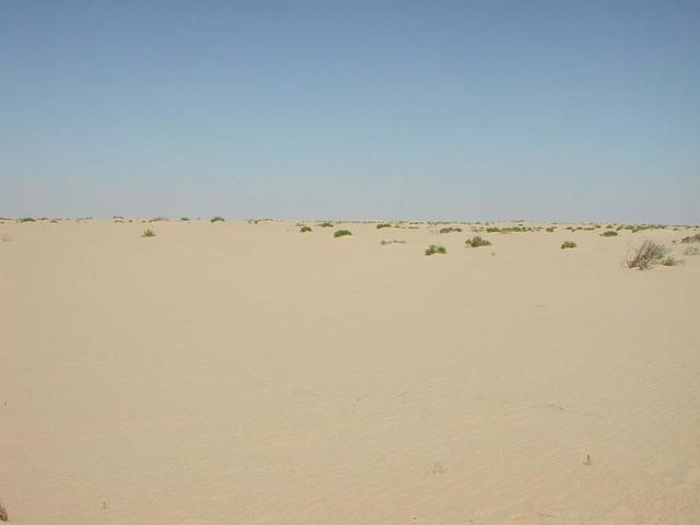 View from the confluence point (in any direction)