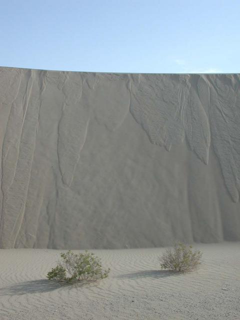 Sandscape