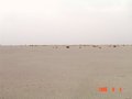 #4: North view, part of `Iblat `Unayza shown