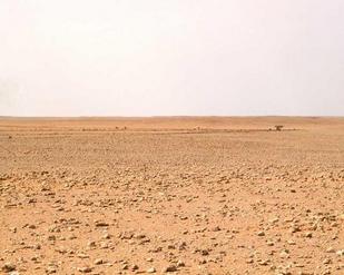 #1: View from the Confluence to the north