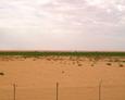 #4: Farming area