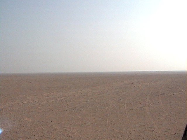 View to the East of confluence point 24N 49E.