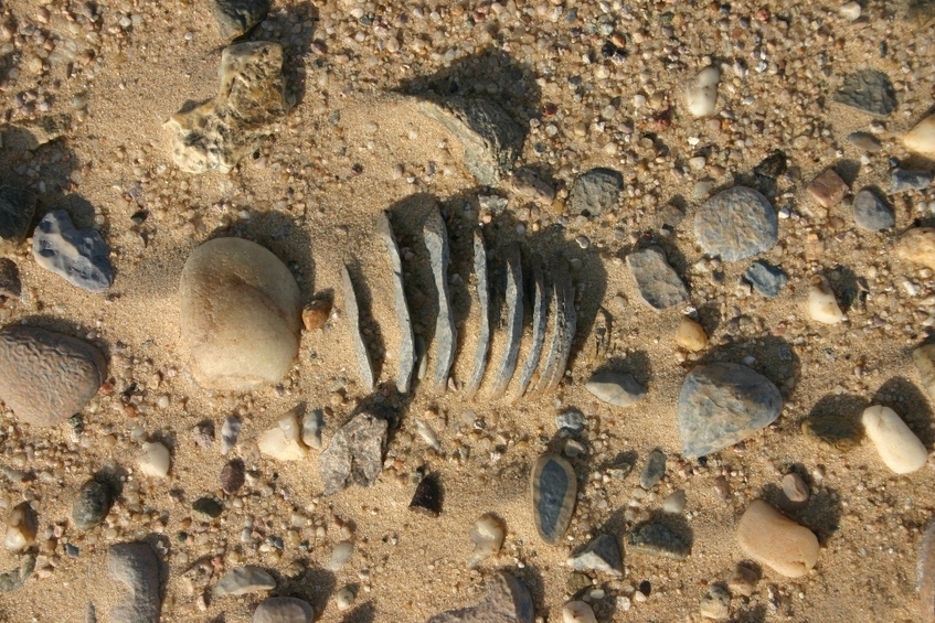 The myriad of rocks in the Wādiy al-Sahbā'