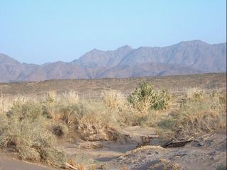 #1: The east view to the confluence point