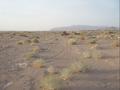 #2: The north view