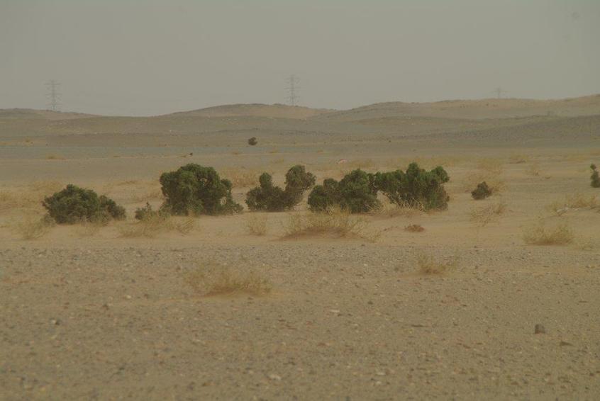 The North view to the highway