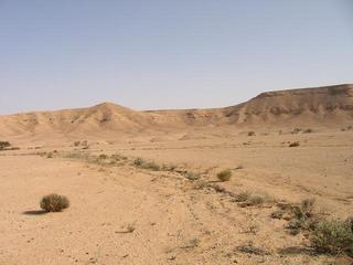 #1: A view looking back on the route that we had walked.