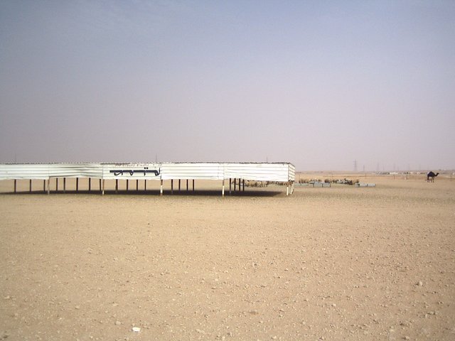 East - Inside the animal pen