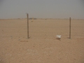 #4: West view