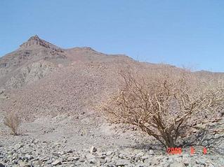 #1: West view, where al-Jumayliyy mountain can be seen