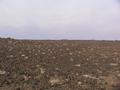 #4: Looking West