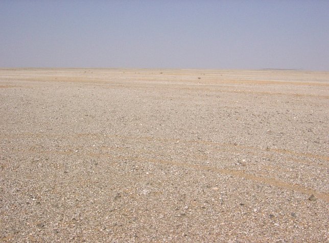 The North view