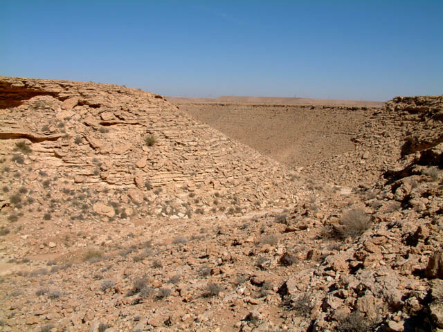 View North from Confluence