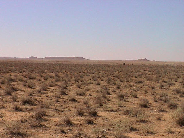 View to the west