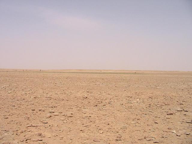 Looking west from the confluence point.