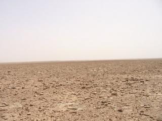 #1: Looking east from the confluence point.